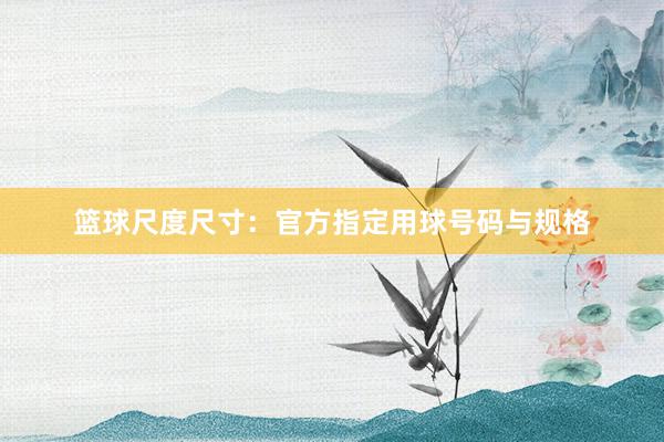 篮球尺度尺寸：官方指定用球号码与规格